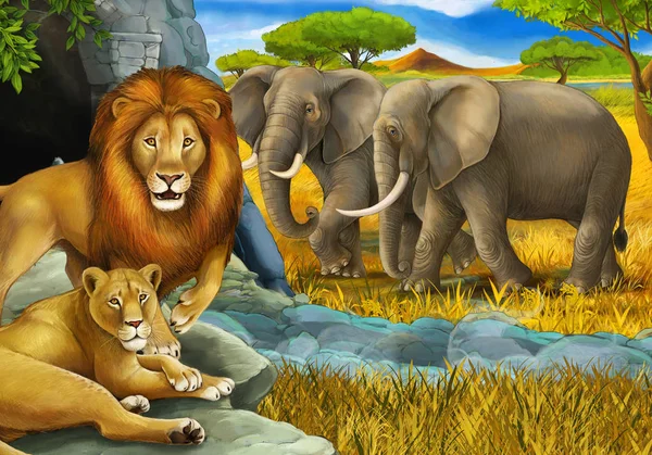 Cartoon safari scene with lions resting and elephant on the meadow illustration for children — Stock Photo, Image