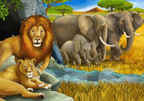 Desen animat safari scena cu lei odihnindu-se și elefant pe lunca ilustrație pentru copii — Fotografie, imagine de stoc
