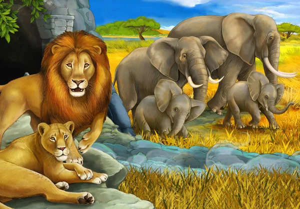Escena de safari de dibujos animados con leones descansando y elefante en el prado ilustración para niños —  Fotos de Stock