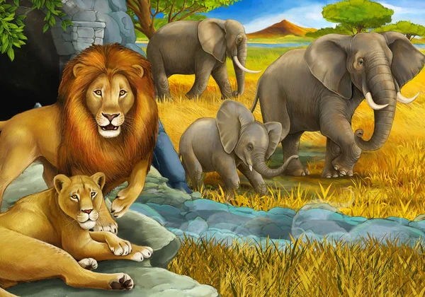 Cartoon safari scene with lions resting and elephant on the meadow illustration for children — Stock Photo, Image