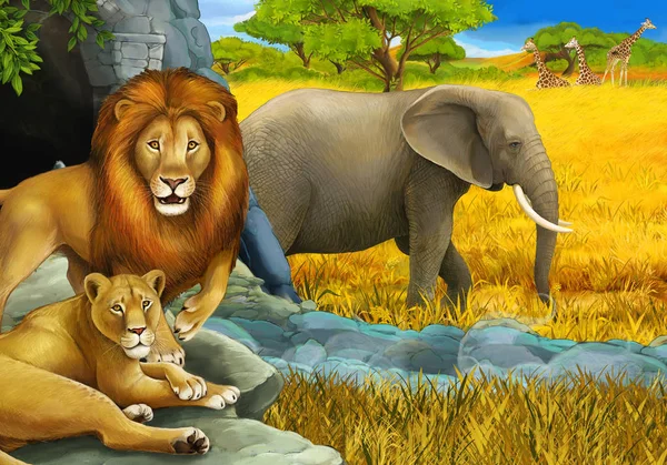 Kreslená safari scéna se lvy odpočívající a slonem na louce ilustrace pro děti — Stock fotografie
