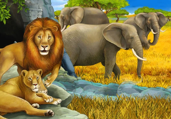 Cartoon safari scene with lions resting and elephant on the meadow illustration for children — Stock Photo, Image