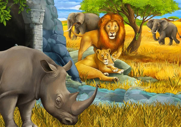 cartoon scene with rhino rhinoceros antelope lions and elephant on the meadow illustration for children