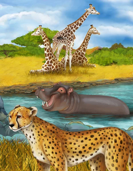 Мультфильм сцена с гепардом бегемот бегемот бегемот плавание в реке возле луга и некоторые жирафы отдыха иллюстрации для детей — стоковое фото