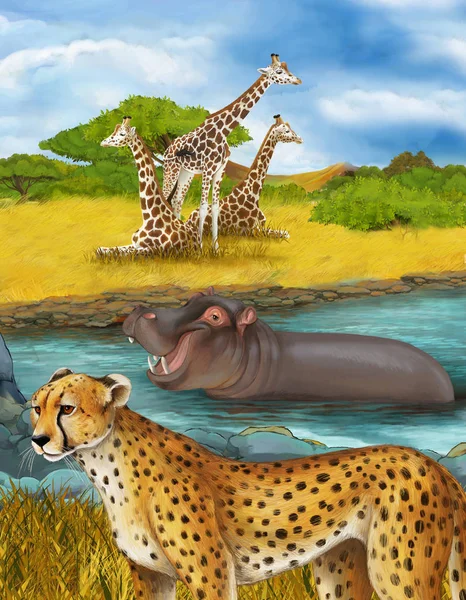 Мультяшна сцена з гепардом котом гіпопотамасом, який плаває в річці біля лугу і деякі жирафи відпочивають ілюстрації для дітей — стокове фото