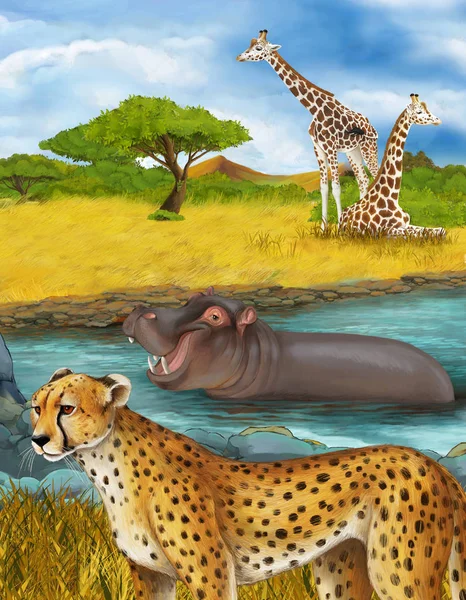Tecknad scen med gepard katt flodhäst flodhäst simma i floden nära ängen och några giraffer vilar illustration för barn — Stockfoto