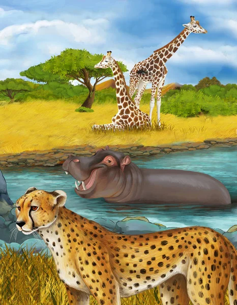 Scène de dessin animé avec chat guépard hippopotame hippopotame nageant dans la rivière près de la prairie et quelques girafes au repos illustration pour les enfants — Photo