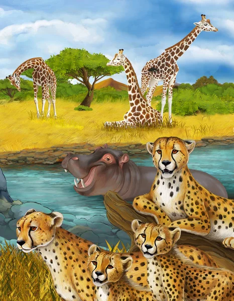Мультфильм сцена с гепардом отдыха и гиппопотамом плавание иллюстрации для детей — стоковое фото