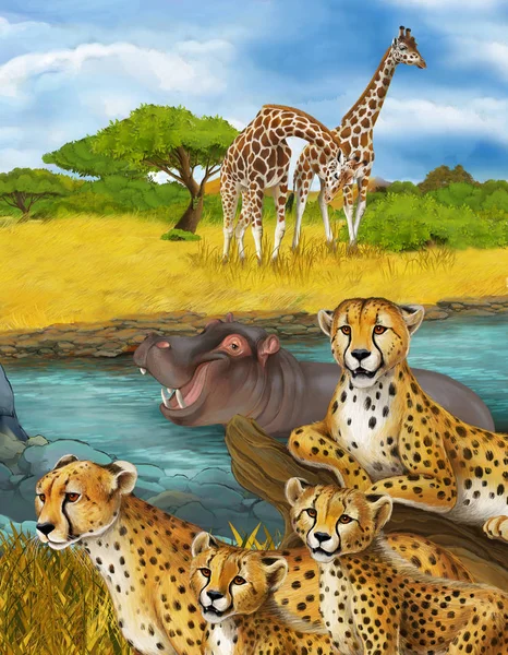 Cartoon scene with cheetah resting and hippo swimming illustration for children — Stock Photo, Image