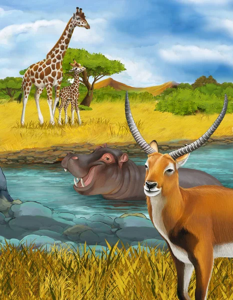 Scène de dessin animé avec hippopotame hippopotame dans la rivière près des girafes de prairie et illustration d'antilope pour les enfants — Photo