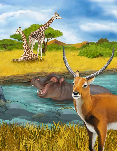 Nehirde su aygırlarının olduğu bir karikatür sahnesi. Çayırdaki zürafalar ve çocuklar için antilop resimleri. — Stok fotoğraf