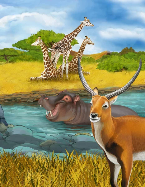 Escena de dibujos animados con hipopótamo hipopótamo en el río cerca de las jirafas del prado y antílope ilustración para niños —  Fotos de Stock