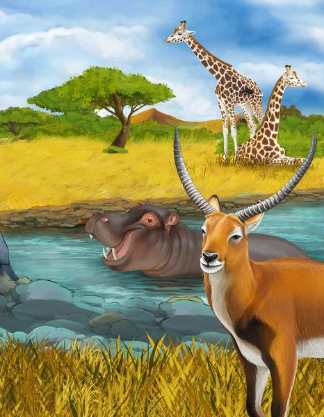 Scène de dessin animé avec hippopotame hippopotame dans la rivière près des girafes de prairie et illustration d'antilope pour les enfants — Photo