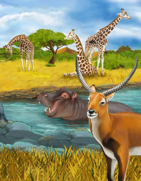 Cena dos desenhos animados com hipopótamo hipopótamo no rio perto das girafas do prado e ilustração antílope para crianças — Fotografia de Stock