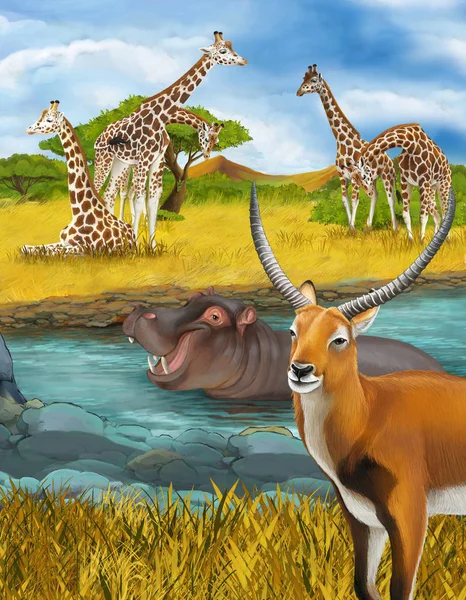 Escena de dibujos animados con hipopótamo hipopótamo en el río cerca de las jirafas del prado y antílope ilustración para niños — Foto de Stock