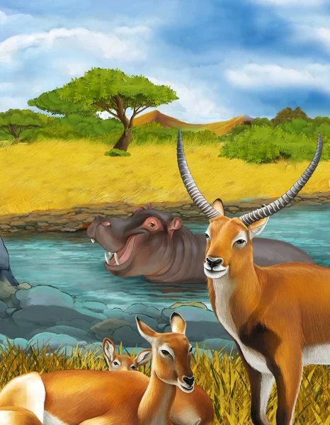 Cartoon scene with hippopotamus hippo swimming in river near the — Stock Photo, Image