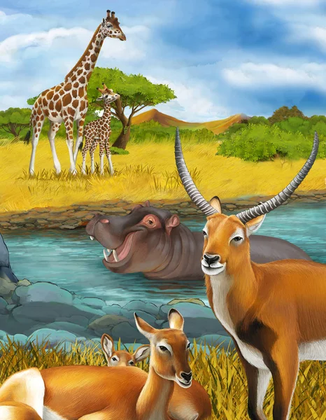 Scène de dessin animé avec hippopotame hippopotame dans la rivière près de l'hydromel — Photo