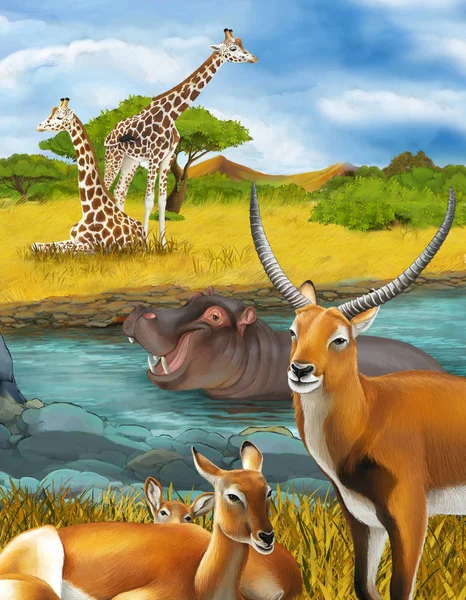 Scena dei cartoni animati con ippopotamo ippopotamo nel fiume vicino all'idromele — Foto Stock