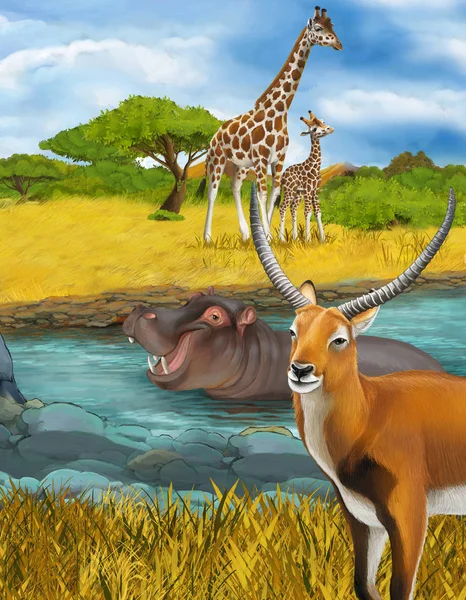 Scena cartone animato con ippopotamo ippopotamo nel fiume vicino al prato giraffe e antilope illustrazione per bambini — Foto Stock