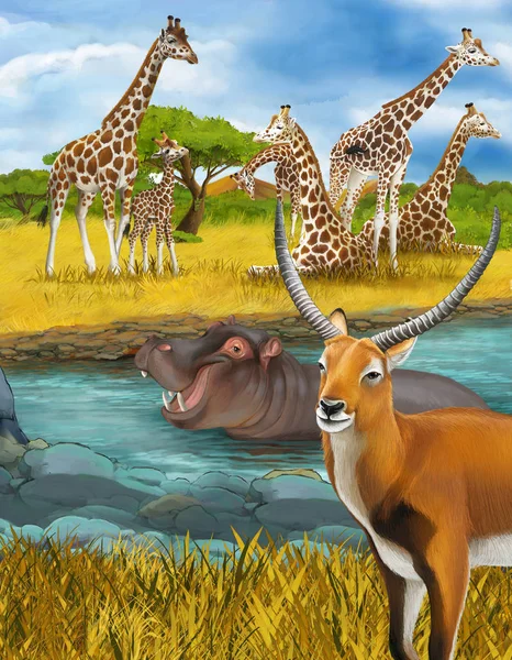 Мультфильм сцена с гиппопотамом бегемот в реке рядом с лугом жирафов и антилопы иллюстрации для детей — стоковое фото