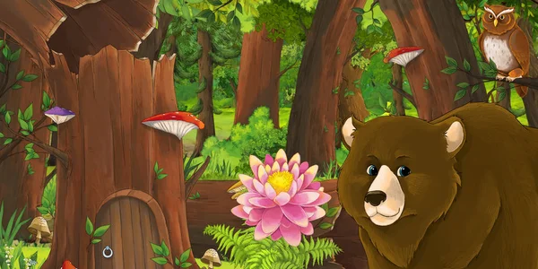 Kreslená letní scéna s hlubokým lesem, ptačí sovinou a kapradí-nikdo na scéně-ilustrace pro děti — Stock fotografie
