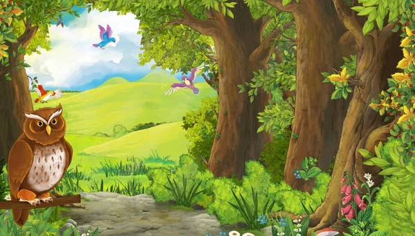Desenho animado cena de verão com águia pássaro com prado na floresta — Fotografia de Stock