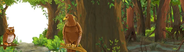 Αστεία σκηνή κινουμένων σχεδίων με αετός πουλί στο δάσος με κρυμμένη εικόνα εισόδου για τα παιδιά — Φωτογραφία Αρχείου