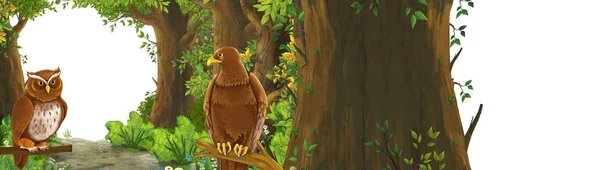 Cena engraçada dos desenhos animados com pássaro águia na floresta com ilustração de entrada escondida para crianças — Fotografia de Stock