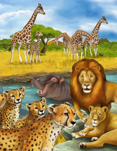 ヒッポパカス・ヒポが川やライオンやチーターで泳いでいる漫画シーン — ストック写真
