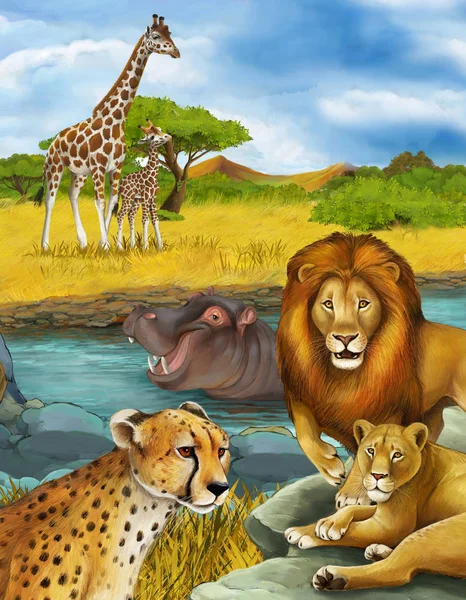 Cartoon scene with hippopotamus hippo swimming in river and lion and cheetah — Stock Photo, Image