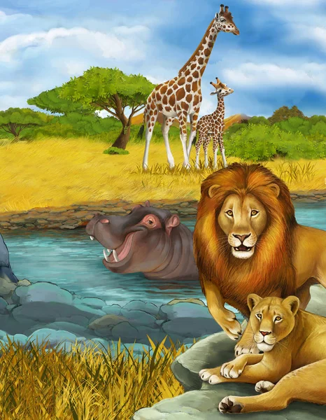 Scena dei cartoni animati con ippopotamo ippopotamo nuotare nel fiume e leone illustrazione — Foto Stock