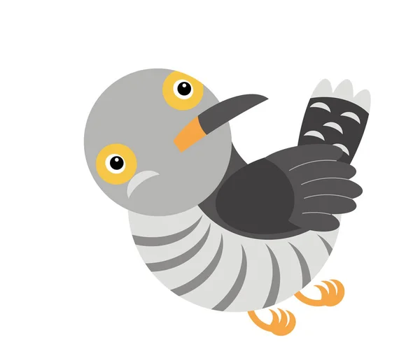 Cartoon cuckoo colorful bird on white background - illustration — 스톡 사진