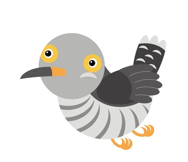 Cucù del fumetto colorato uccello su sfondo bianco - illustrazione — Foto Stock