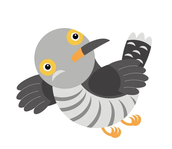 Kreskówka kukułka kolorowy ptak na białym tle - ilustracja — Zdjęcie stockowe