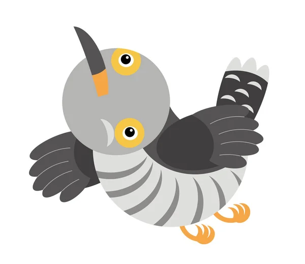 Tecknad gök färgglada fågel på vit bakgrund - illustration — Stockfoto