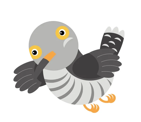 Kreskówka kukułka kolorowy ptak na białym tle - ilustracja — Zdjęcie stockowe