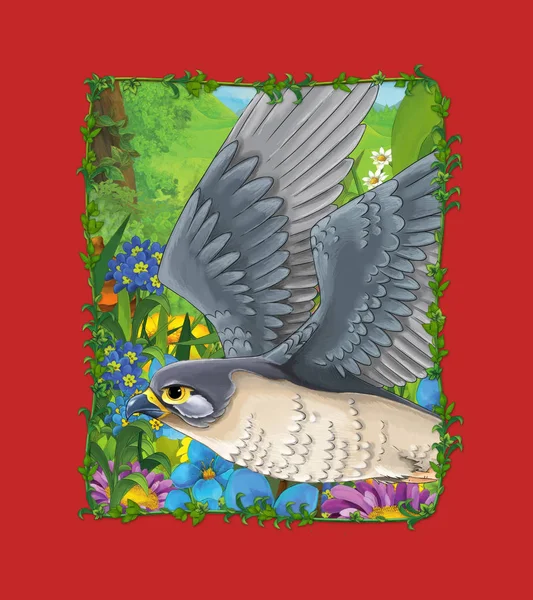 Cartoon scene with beautiful bird on the meadow - falcon - illus — 스톡 사진