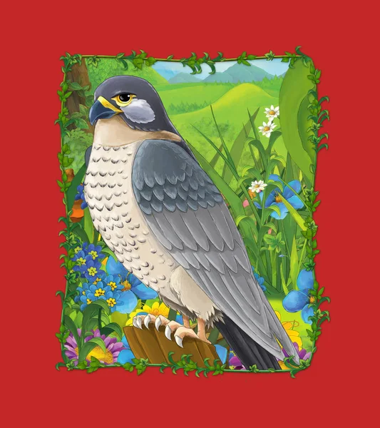 Cartoon scene with beautiful bird on the meadow - falcon - illus — 스톡 사진