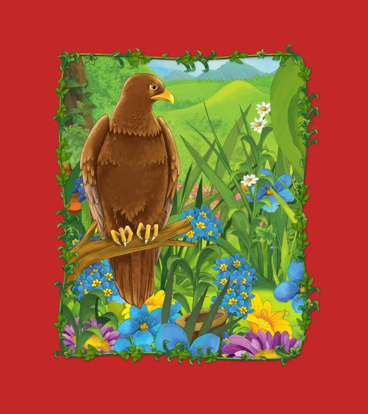 Cena dos desenhos animados com belo pássaro no prado - águia - ilustração — Fotografia de Stock