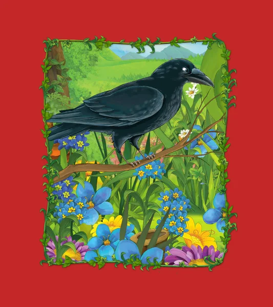 Cartoon scene with beautiful bird on the meadow - crow - illustration — 스톡 사진