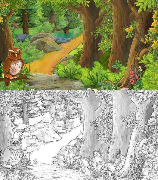 Escena de verano de dibujos animados con pájaro con prado en el bosquejo del bosque — Foto de Stock