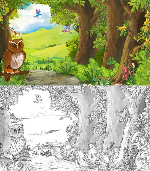 Escena de verano de dibujos animados con águila pájaro con prado en el bosque s —  Fotos de Stock