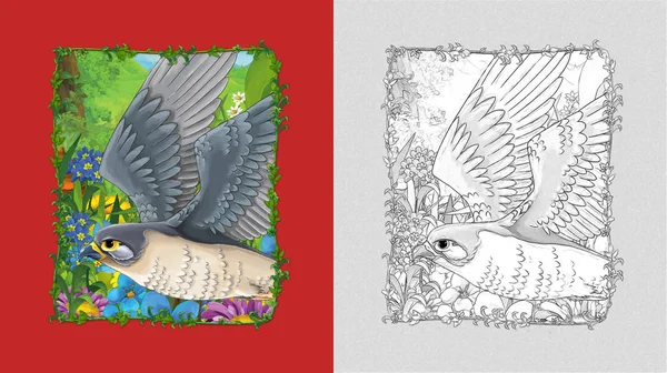 Cena dos desenhos animados com belo falcão pássaro com sketchbook — Fotografia de Stock