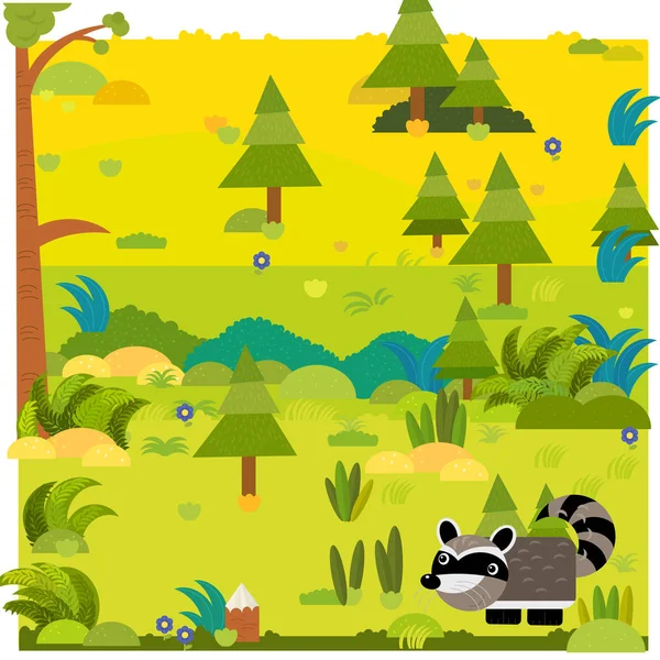 Cartoon forest scene with wild animal raccoon illustration — Stock Photo, Image