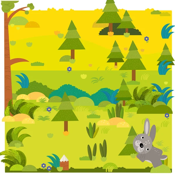 Escena del bosque de dibujos animados con conejo animal salvaje liebre ilustración —  Fotos de Stock