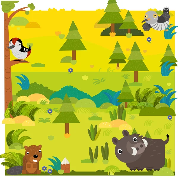 Cartoon forest with wild animal boar and other animals — Stock Photo, Image