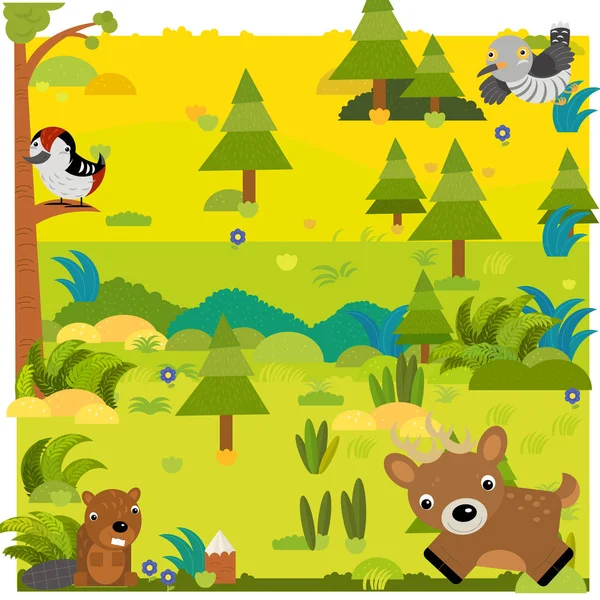 Floresta de desenhos animados com ovas de veados animais selvagens e outros animais — Fotografia de Stock