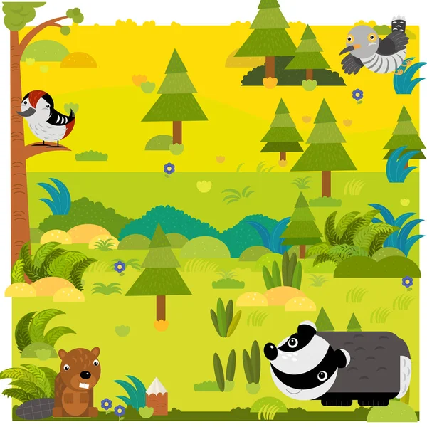 Cartoon forest with wild animal opossum and other animals — Stock Photo, Image