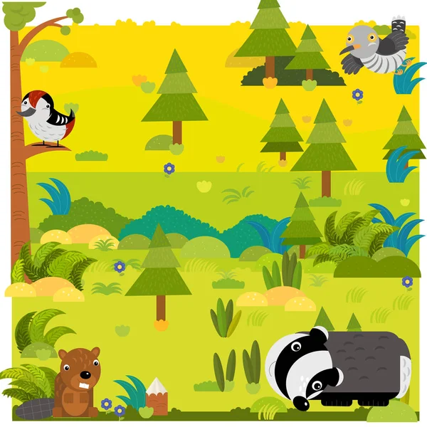 Las kreskówkowy z dzikim oposem i innymi zwierzętami — Zdjęcie stockowe