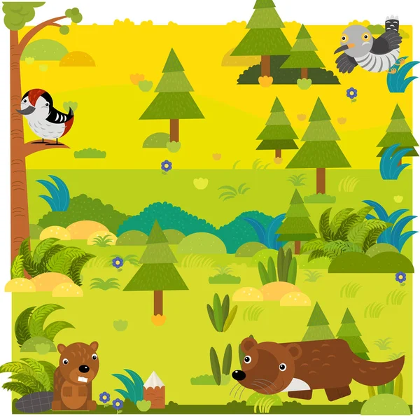 Floresta dos desenhos animados com marta animal selvagem e outros animais — Fotografia de Stock